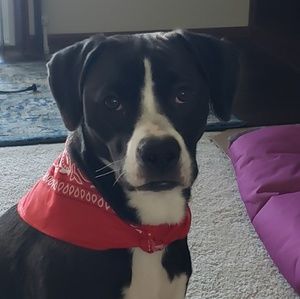 Meet your Posher, Nathan